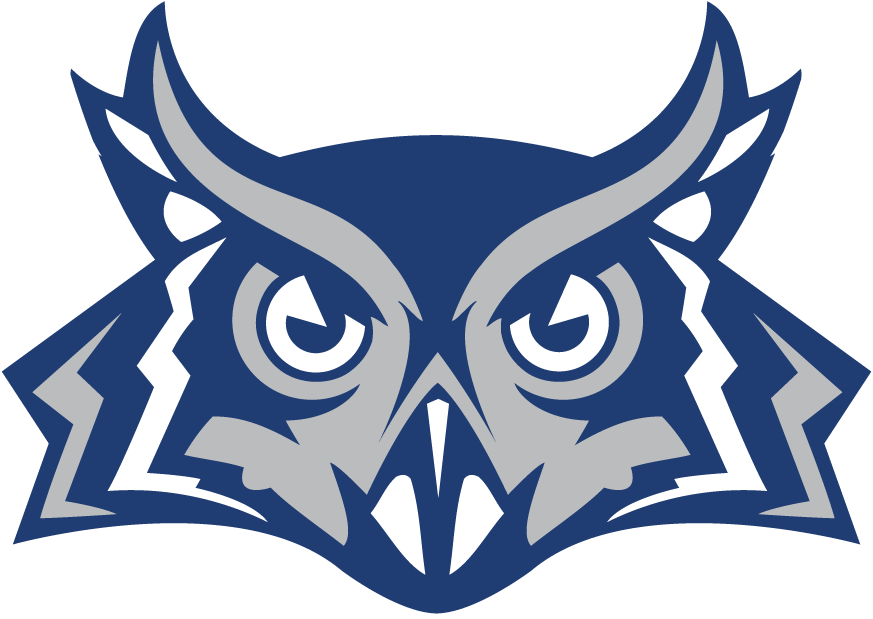 Rice Owls 2010-Pres Alternate Logo DIY iron on transfer (heat transfer)